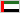 UAE flag